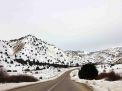 گزارش تصویری از یک روز برفی در شاهرود